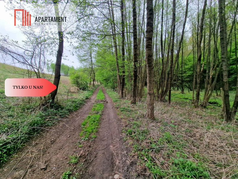 Gospodarstwo w głuszy! Las! Rzeka! - dd_18eeaa1f_zs_295590_1.jpg