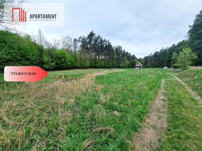 Gospodarstwo w głuszy! Las! Rzeka! - 4