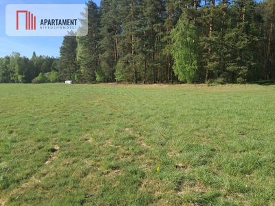 Działki rolne 2,06 ha – Górzna k. Złotowa