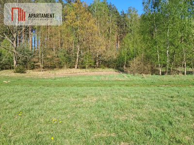 Działki rolne 2,06 ha – Górzna k. Złotowa - 2
