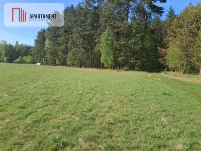 Działki rolne 2,06 ha – Górzna k. Złotowa - 5