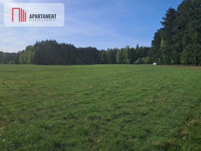 Działki rolne 2,06 ha – Górzna k. Złotowa - 4