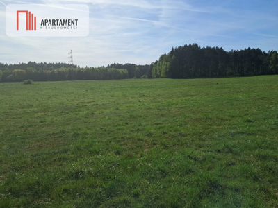 Działki rolne 2,06 ha – Górzna k. Złotowa - 3