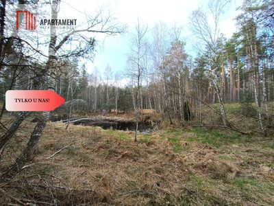 Tylko u nas! Las z brzozami, sosnami i stawem. - 3