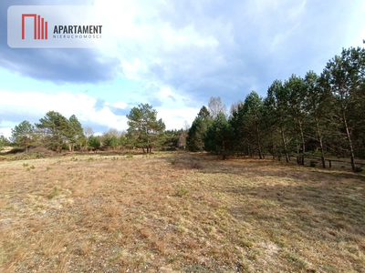 Tylko u nas! Działka-cisza, natura i potencjał! - 5