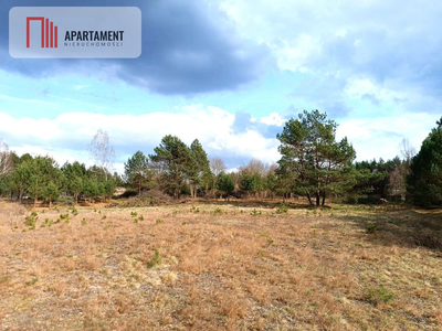 Tylko u nas! Działka-cisza, natura i potencjał! - 4