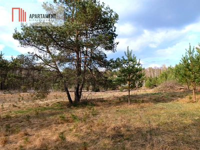 Tylko u nas! Działka-cisza, natura i potencjał! - 3