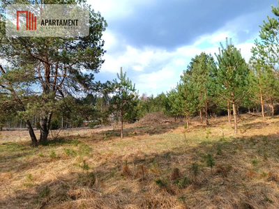 Tylko u nas! Działka-cisza, natura i potencjał! - 2