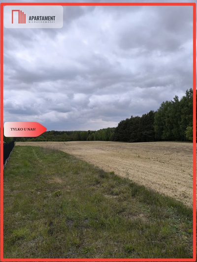 Tylko u nas - działka na sprzedaż w Dylewie - 2