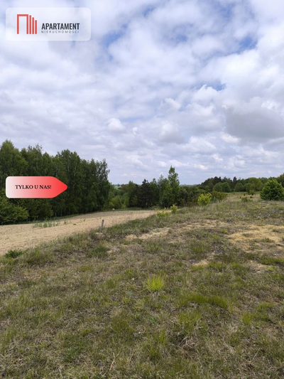 Tylko u nas - działka na sprzedaż w Dylewie - 3