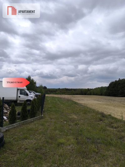 Tylko u nas - działka na sprzedaż w Dylewie - 5