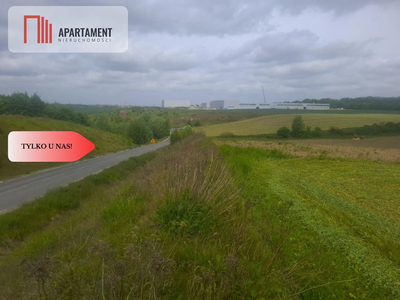 TYLKO U NAS !!! ATRAKCYJNA BLISKO CHEŁMNA - 5
