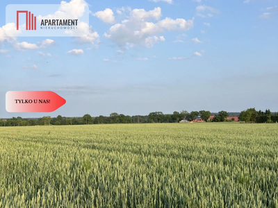PIĘKNE Działki Budowlane pod Bolesławcem! Kruszyn - 5