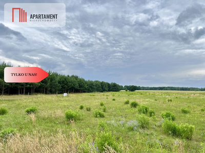 Szlakiem Napoleona! Działki Budowlane Brunów!MEDIA - 4