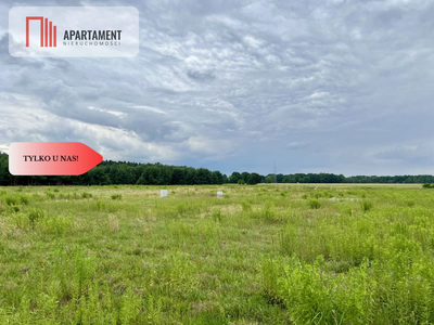 Szlakiem Napoleona! Działki Budowlane Brunów!MEDIA - 3