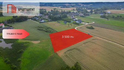 Działka 3500 m² w Skrzydłowie, z warunkami zabudow