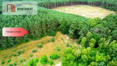 Cegielnik działka 1356m2 ze ścianą lasu