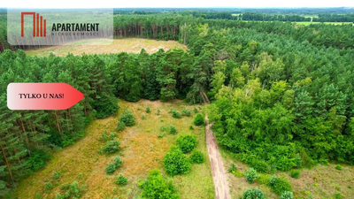 Cegielnik działka 1356m2 ze ścianą lasu - 4