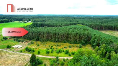 Cegielnik działka 1356m2 ze ścianą lasu - 2