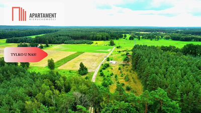 Cegielnik działka 1356m2 ze ścianą lasu - 5