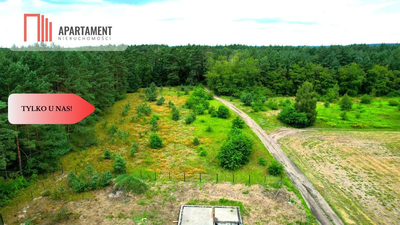 Cegielnik działka 1356m2 ze ścianą lasu - 3