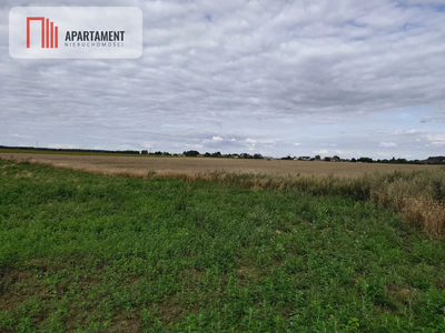 Atrakcyjna działka pod budowę domu tylko 150zł/mkw - 5