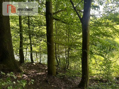 Jeleńcz–działka budowlana 13 375 m2 - 4