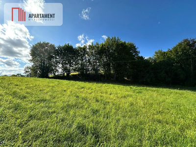 Unikalna działka 3,76 ha z własnym jeziorem! - 5