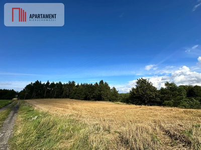 Unikalna działka 3,76 ha z własnym jeziorem! - 2