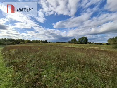 1.	Działka 3000 m² – Warmia, 15 min od Olsztyna - 3