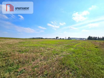 Działka budowlana 981m2 Smogorzewo - 3