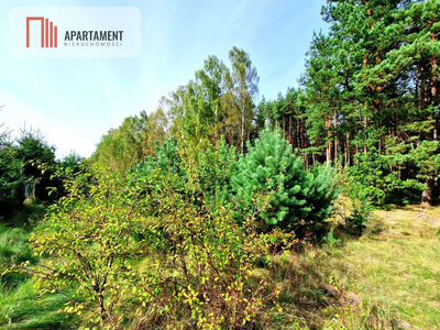 Działka budowlana ze ścianą lasu . - 2