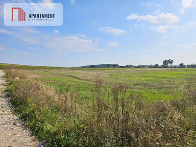 Działka budowlana 885 m² , Smogorzewo - 4
