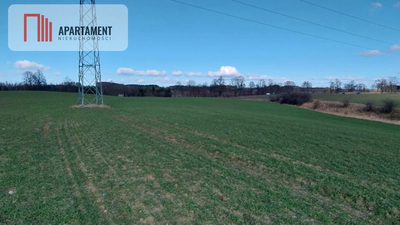 Działka inwestycyjna blisko Kościerzyny - 5