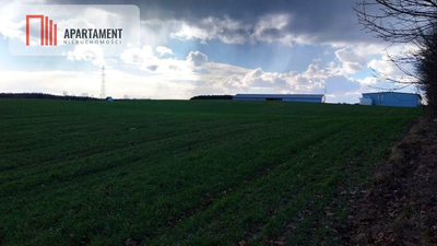 Działka inwestycyjna blisko Kościerzyny - 4