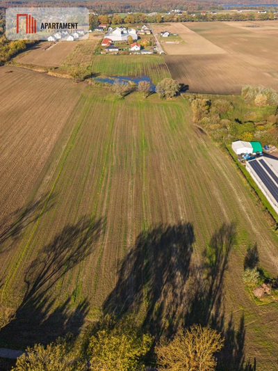DZIAŁKA INWESTYCYJNA 4 HA – KAMIEŃ DUŻY - 2