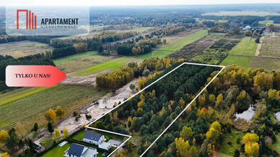 Działka z własnym lasem pod Łodzią! - 2