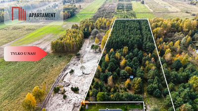 Działka z własnym lasem pod Łodzią! - 5