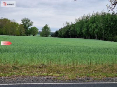 Działki budowlane niedaleko jeziora