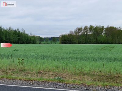 Działki budowlane niedaleko jeziora - 3
