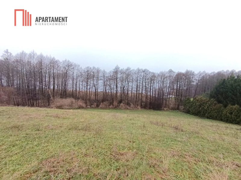 Działka rekreacyjna nad jeziorem - dd_18eeaa1f_zs_883856_1.jpg