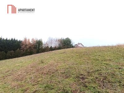 Działka rekreacyjna nad jeziorem - 2