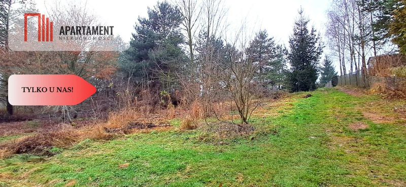 Niewielka działka w okolicy lasu i jeziora - dd_18eeaa1f_zs_439163_1.jpg