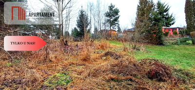 Niewielka działka w okolicy lasu i jeziora - 4