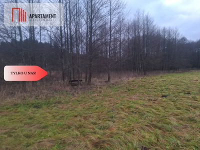 TYLKO U NAS !!! ATRAKCYJNA DZIAŁKA BLISKO LASU - 3