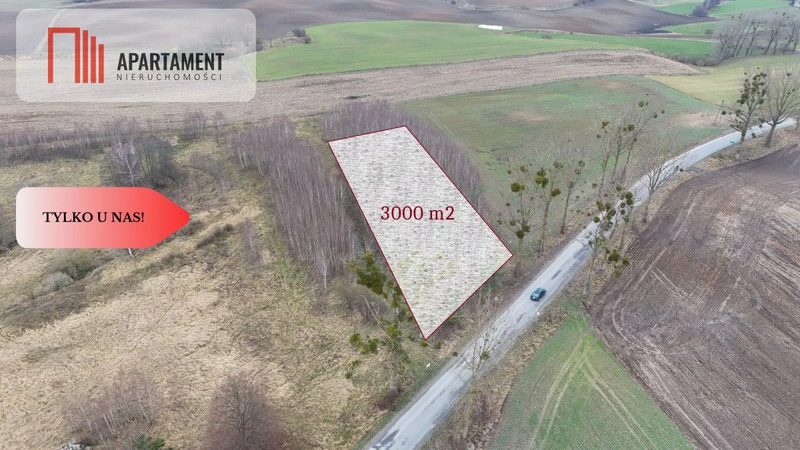 * Działka 3000m2 z WZ Łąsko Małe KORONOWO - dd_18eeaa1f_zs_619117_1.jpg