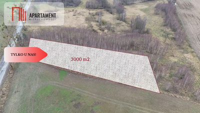 * Działka 3000m2 z WZ Łąsko Małe KORONOWO - 5