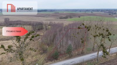 * Działka 3000m2 z WZ Łąsko Małe KORONOWO - 4