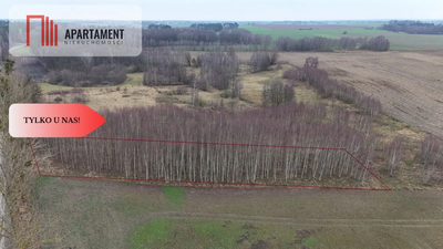 * Działka 3000m2 z WZ Łąsko Małe KORONOWO - 3