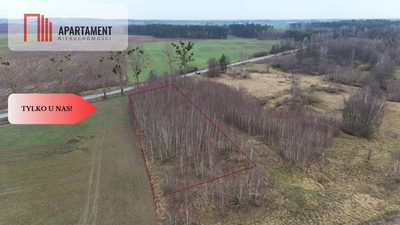 * Działka 3000m2 z WZ Łąsko Małe KORONOWO - 2